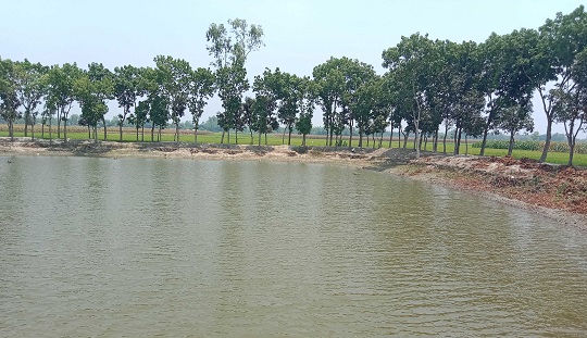 image-here